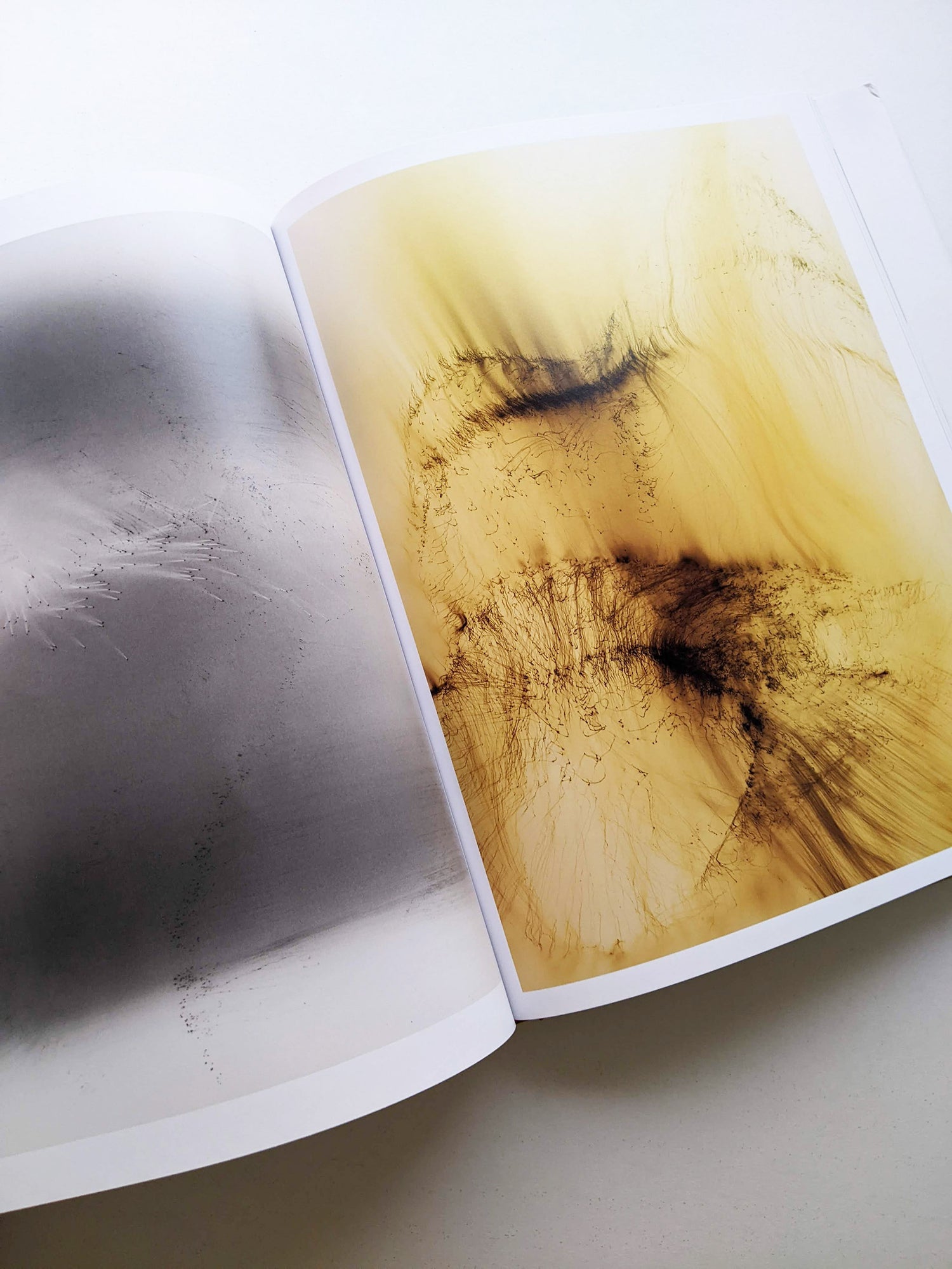 TO LOOK WITHOUT FEAR / Wolfgang Tillmans