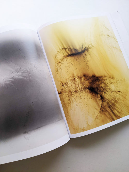 TO LOOK WITHOUT FEAR / Wolfgang Tillmans
