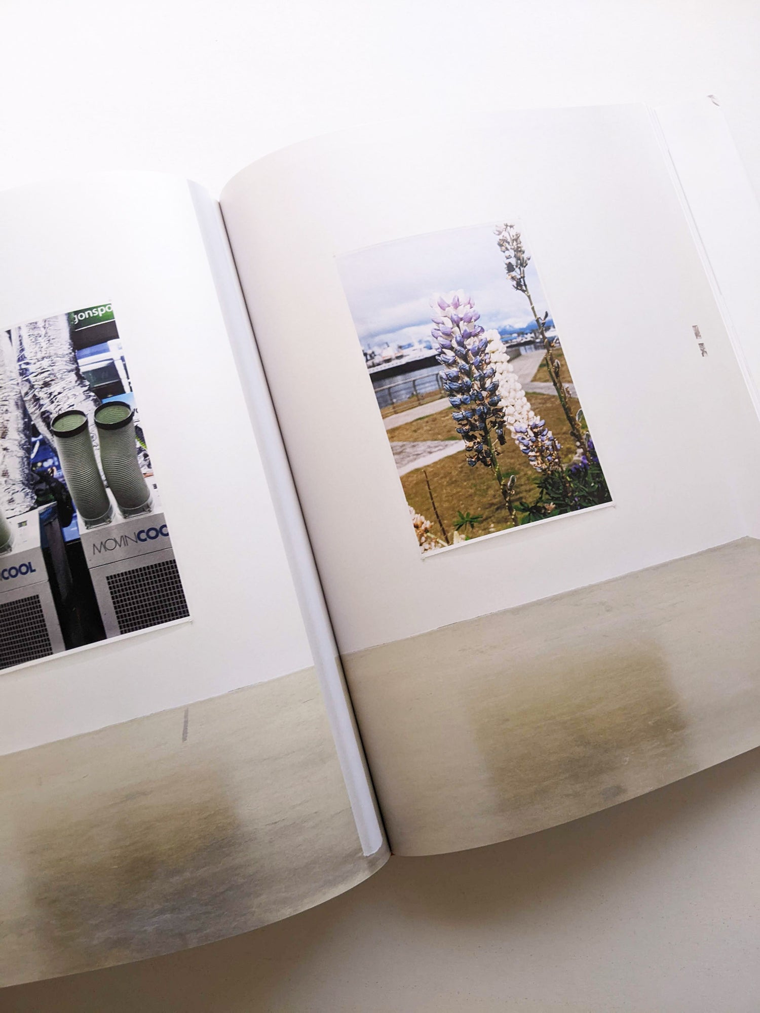 TO LOOK WITHOUT FEAR / Wolfgang Tillmans