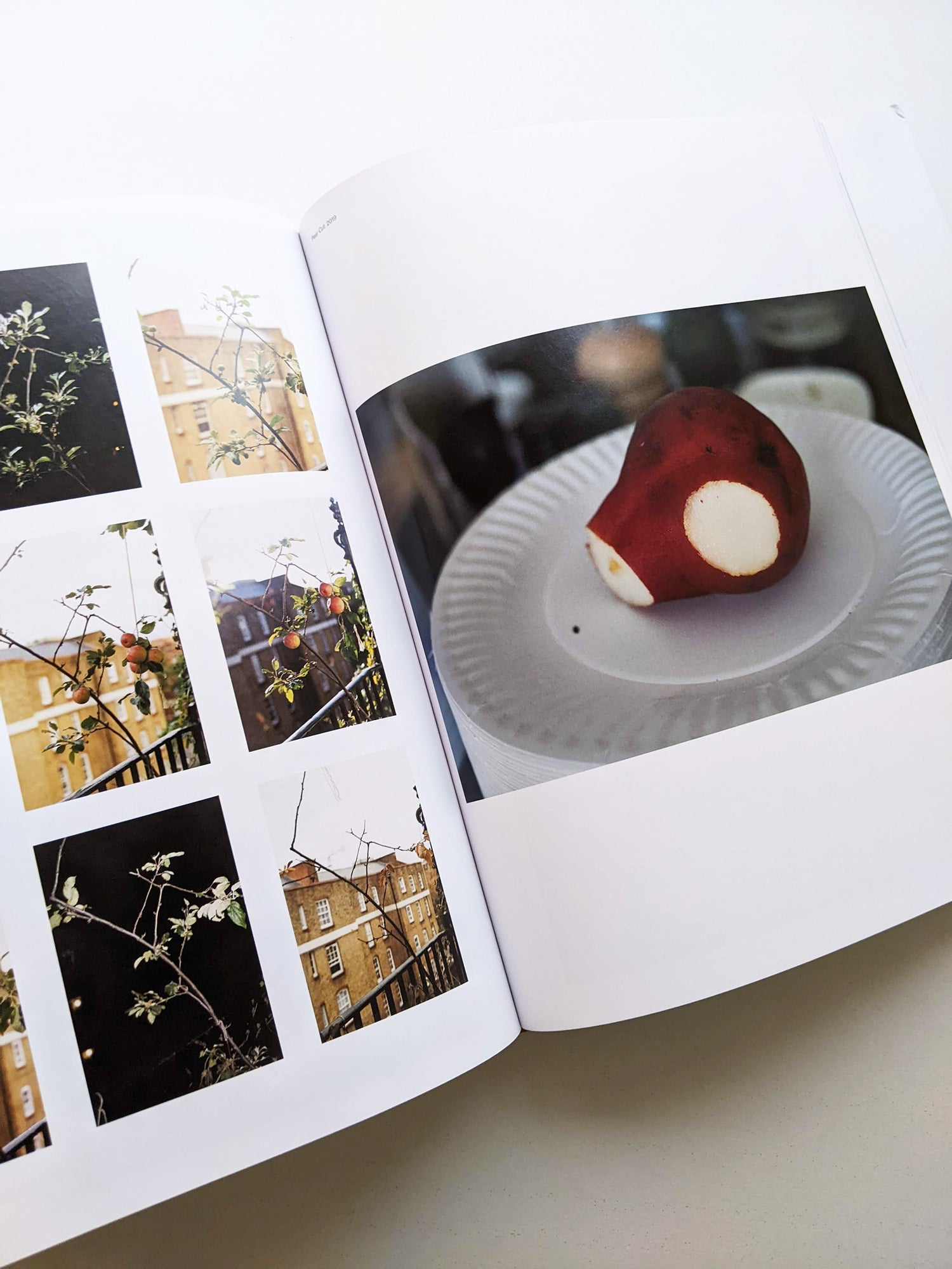 TO LOOK WITHOUT FEAR / Wolfgang Tillmans