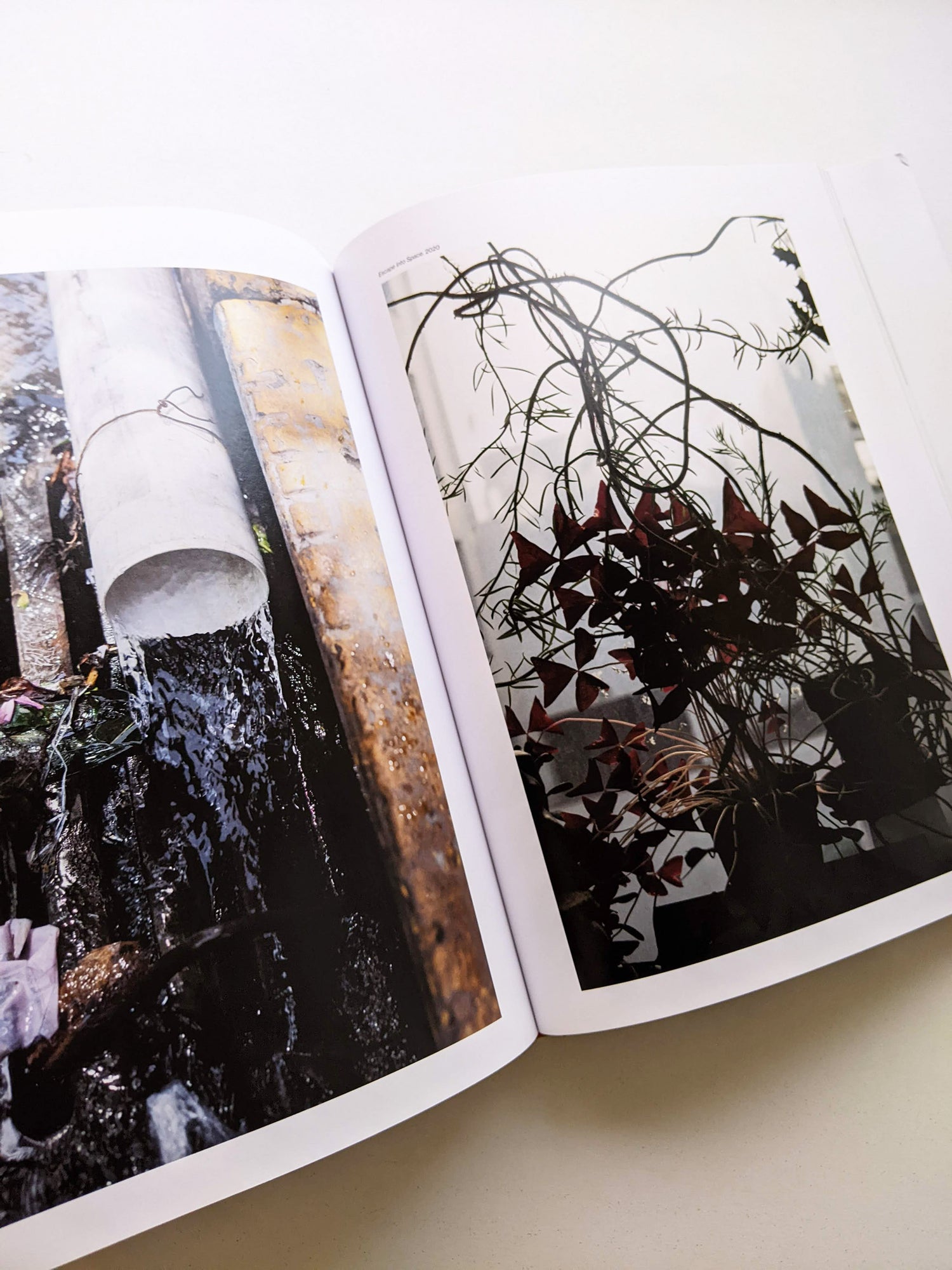 TO LOOK WITHOUT FEAR / Wolfgang Tillmans