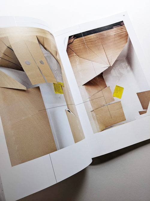 No thanks, I’m just looking / Lisa Sudhibhasilp