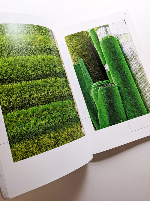 No thanks, I’m just looking / Lisa Sudhibhasilp