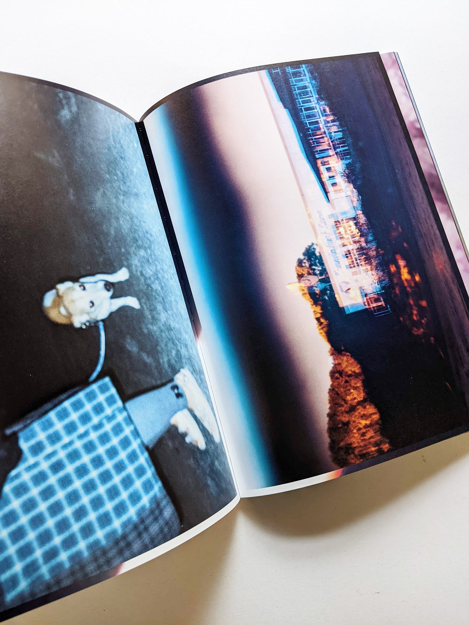 銀河に埋める / Kenta Nakamura [SIGNED]