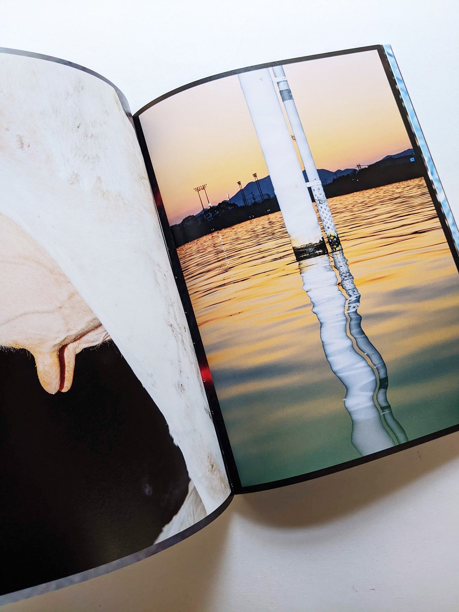 銀河に埋める / Kenta Nakamura [SIGNED]