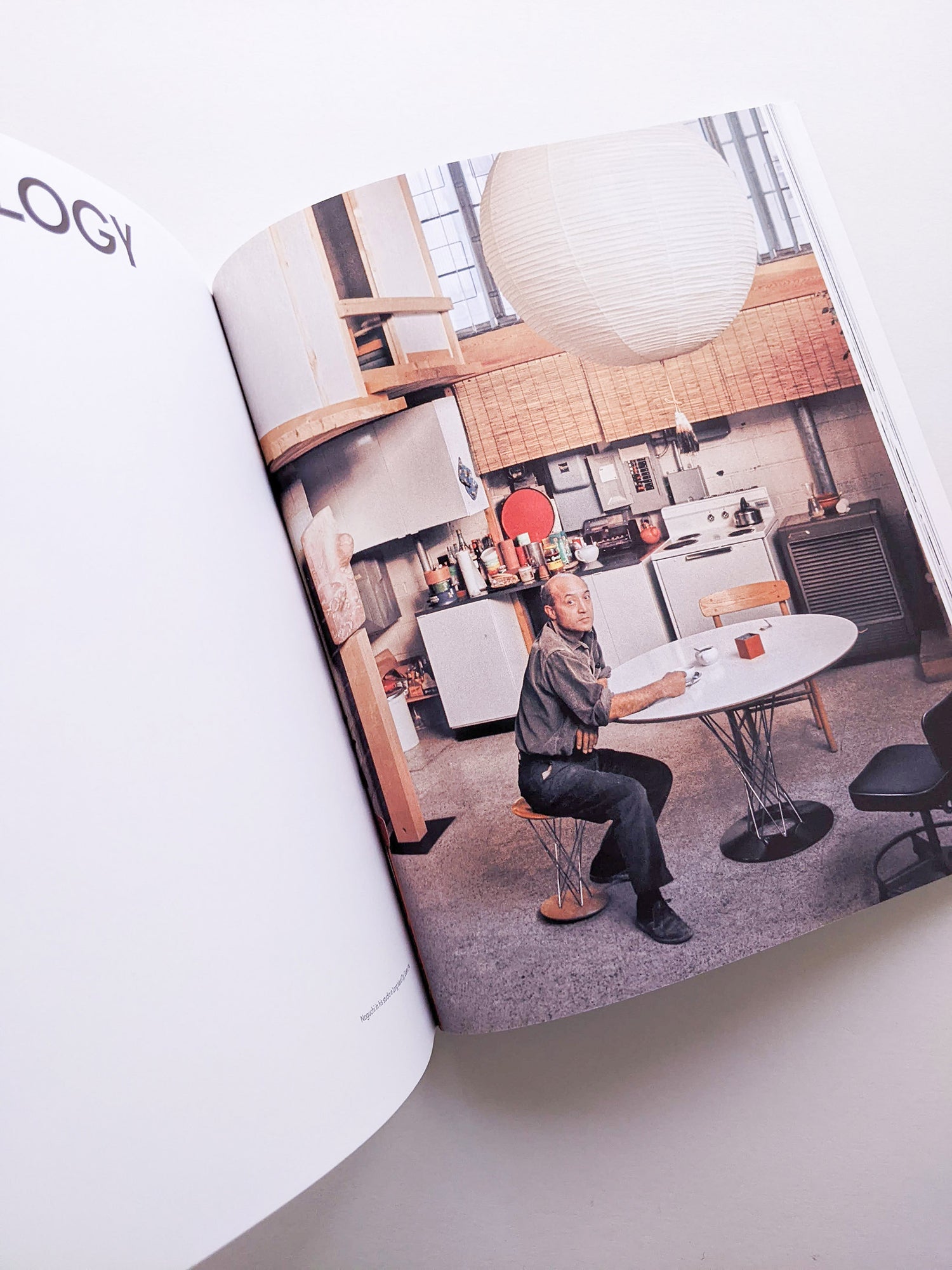 ISAMU NOGUCHI / Isamu Noguchi [SOFTCOVER]