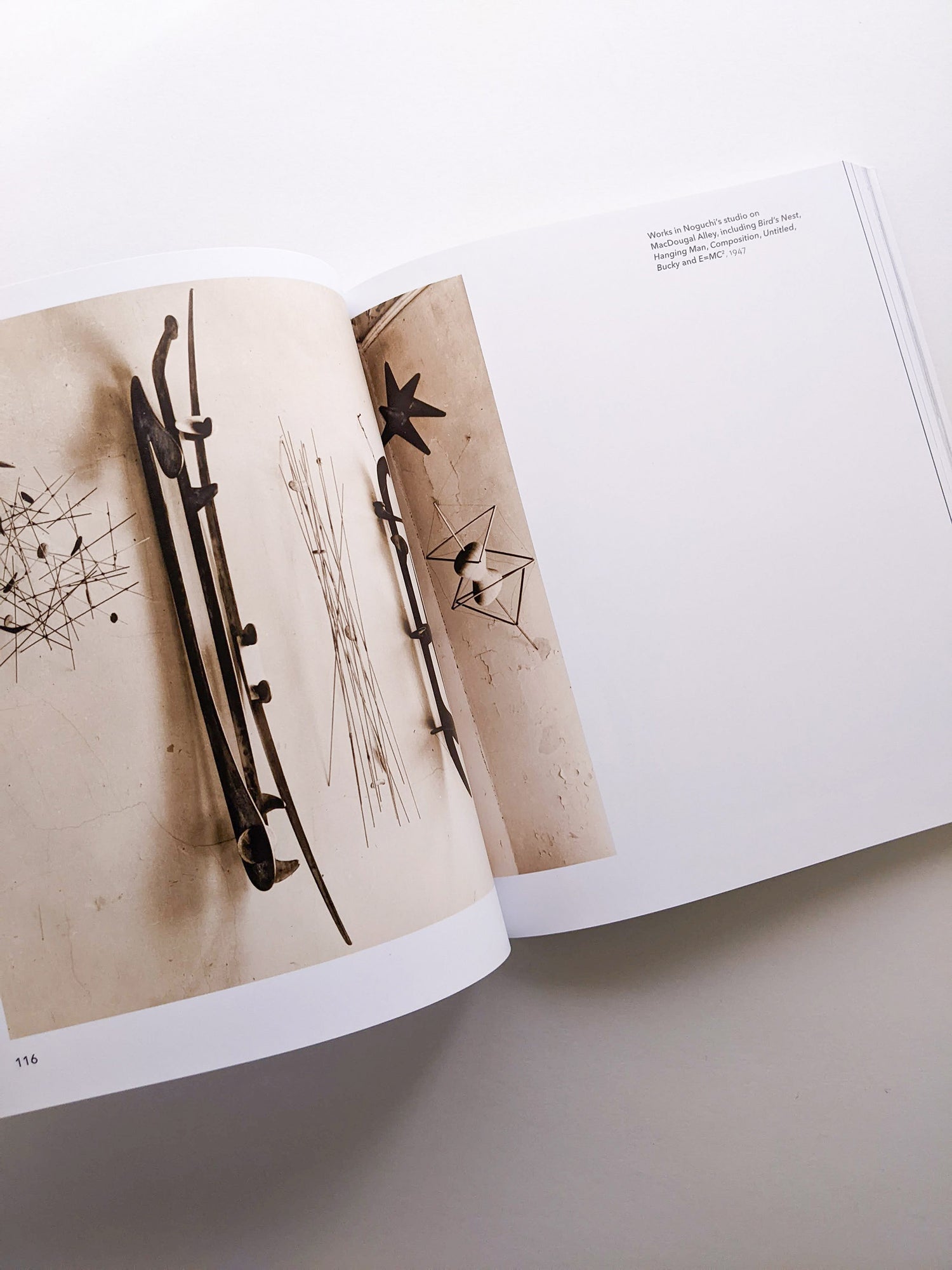 ISAMU NOGUCHI / Isamu Noguchi [SOFTCOVER]