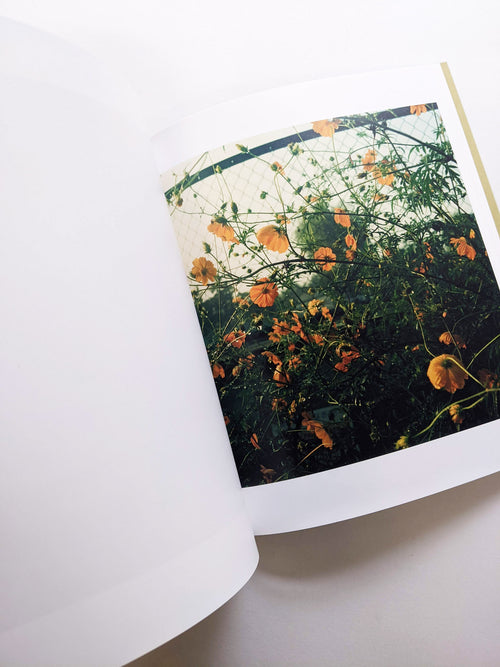 SMALL MYTHS / Mikiko Hara