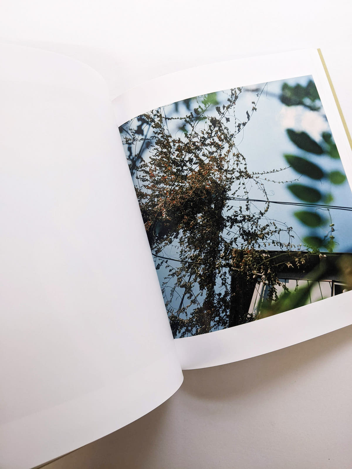 SMALL MYTHS / Mikiko Hara
