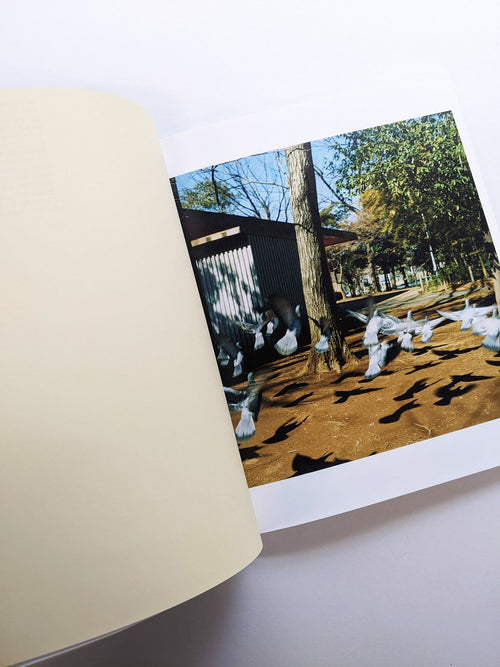 SMALL MYTHS / Mikiko Hara