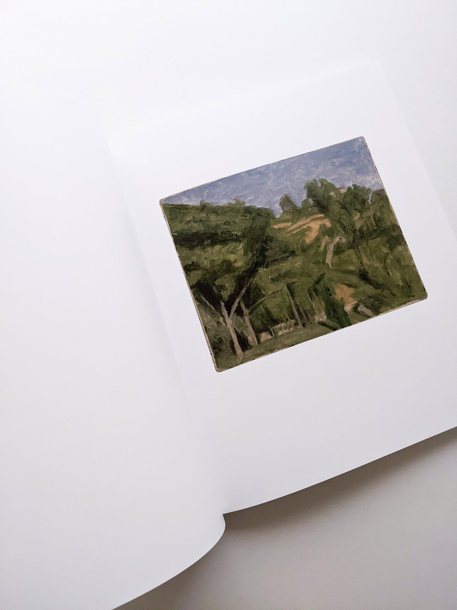 LATE PAINTINGS / Giorgio Morandi