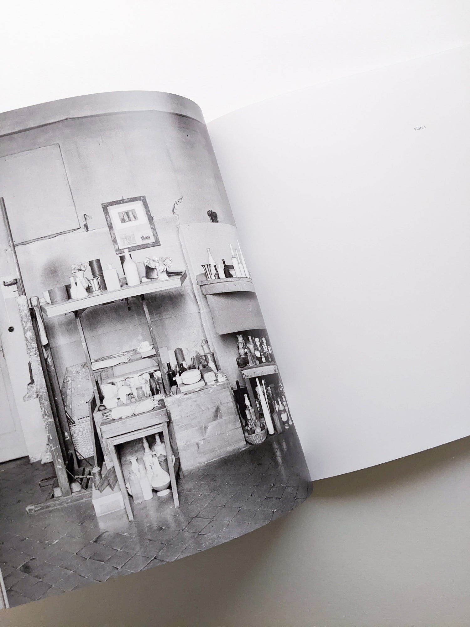 LATE PAINTINGS / Giorgio Morandi