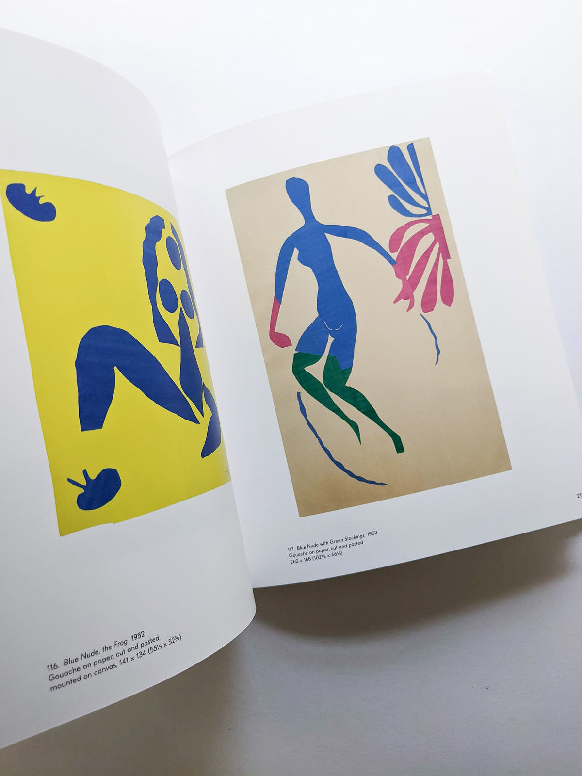 THE CUT-OUTS / Henri Matisse