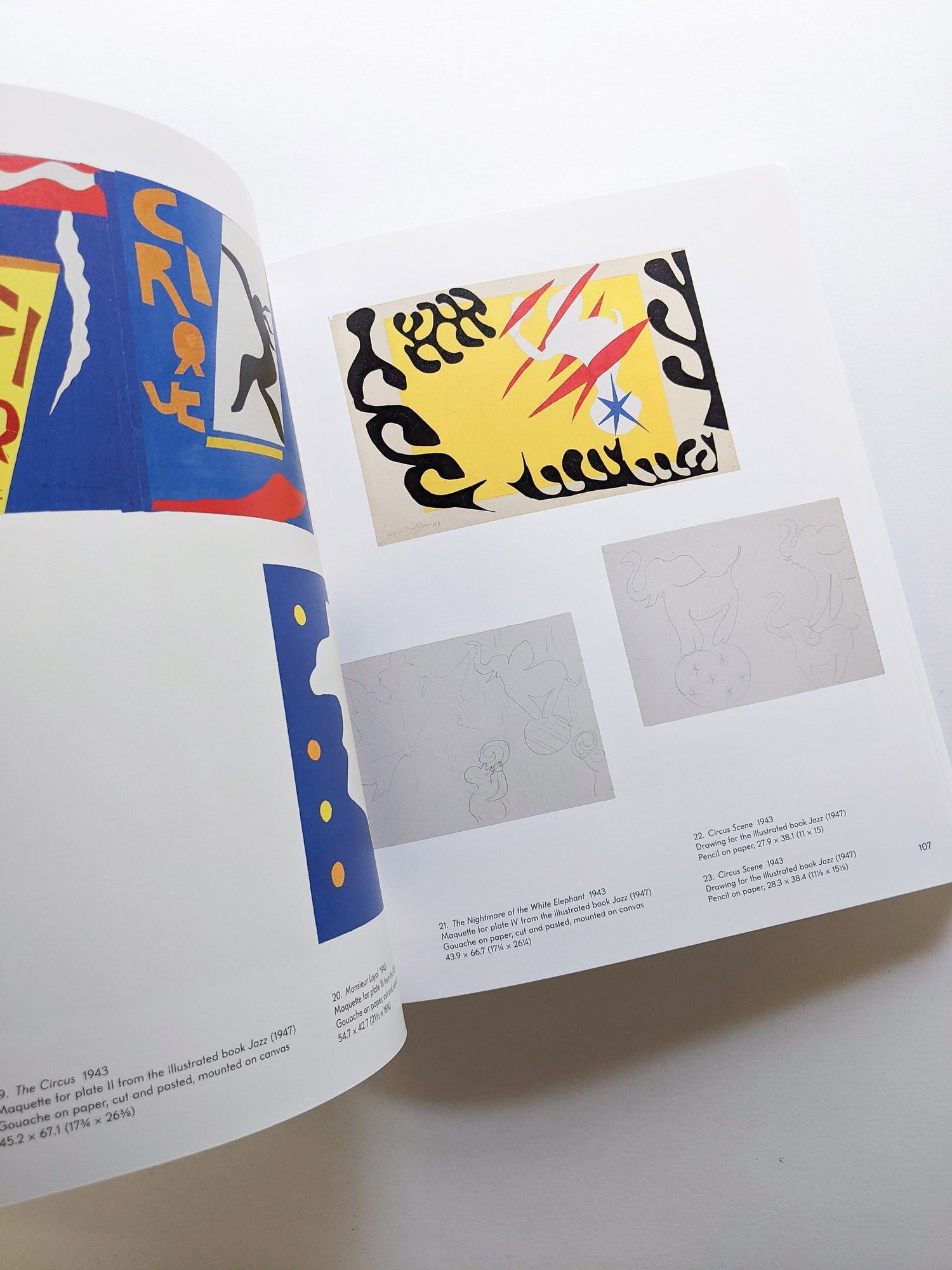 THE CUT-OUTS / Henri Matisse