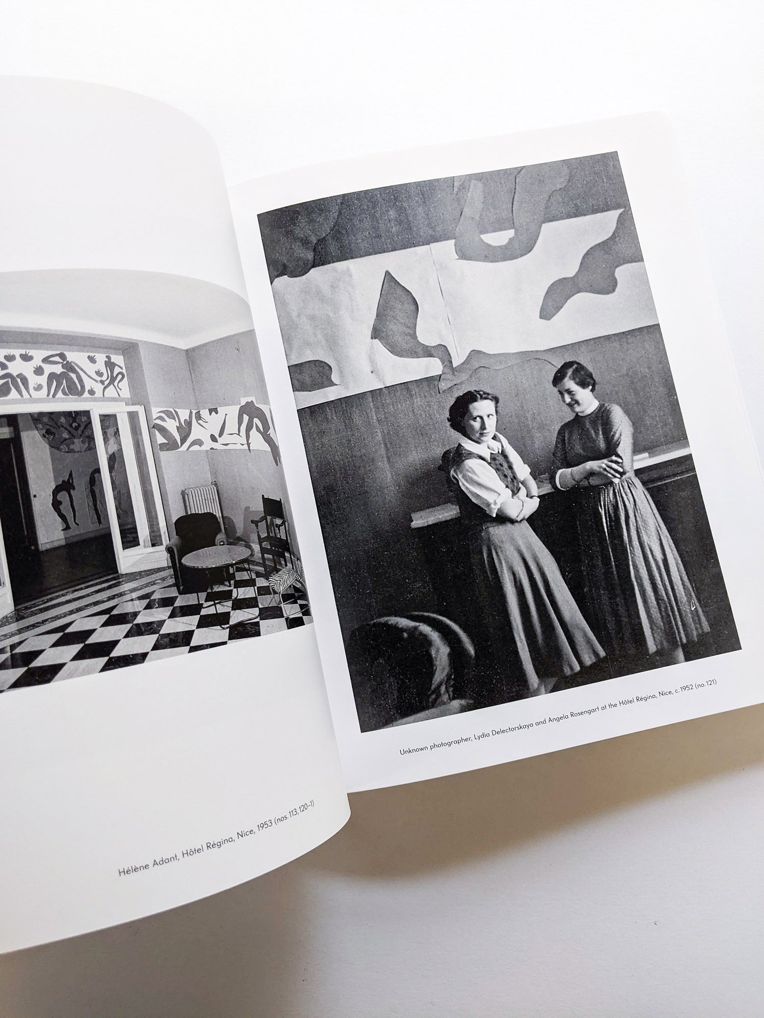 THE CUT-OUTS / Henri Matisse