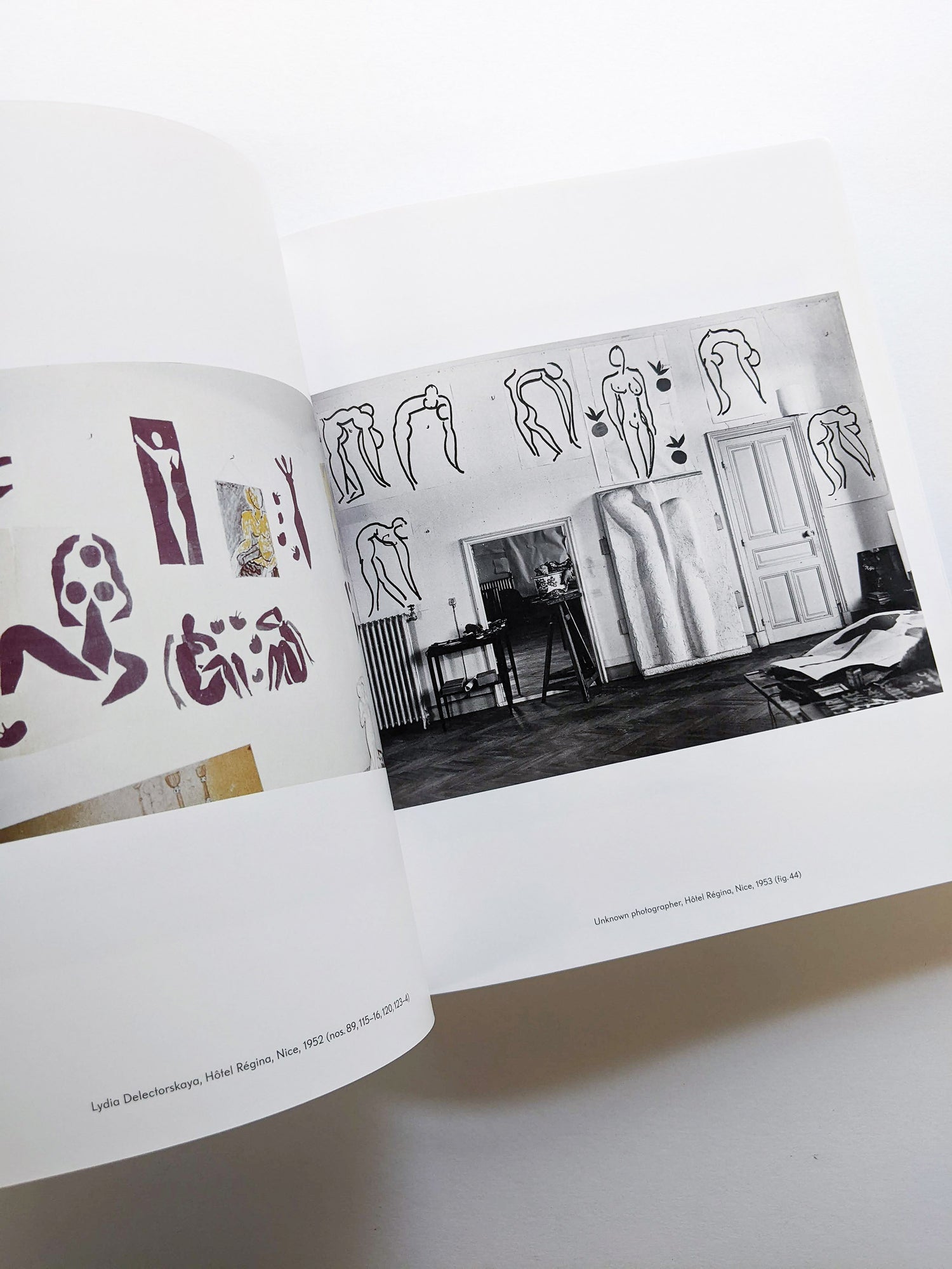 THE CUT-OUTS / Henri Matisse