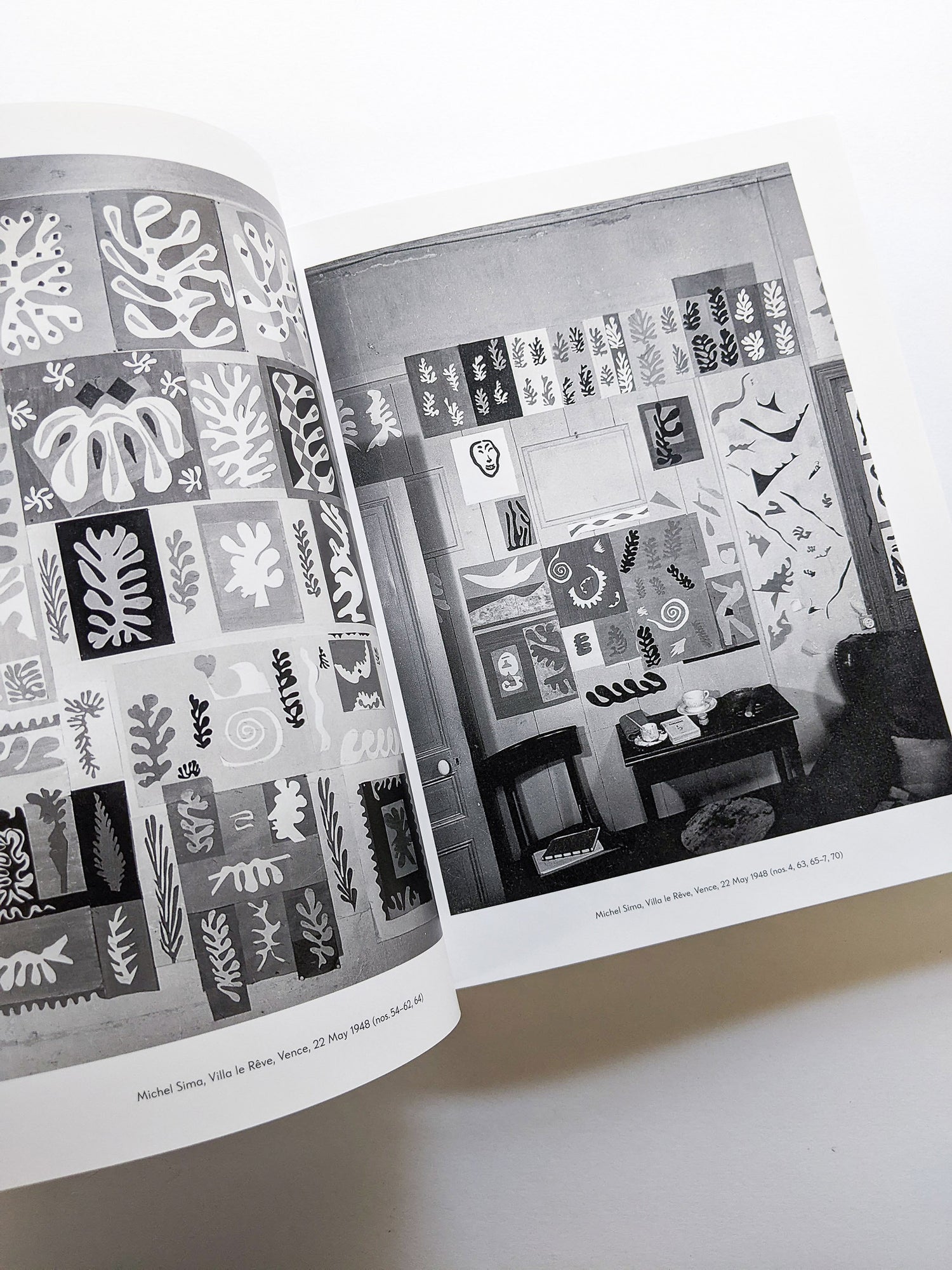 THE CUT-OUTS / Henri Matisse