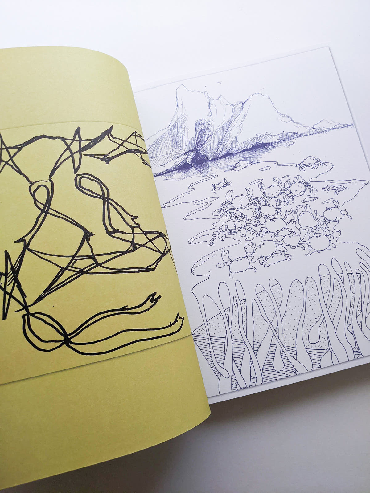 DRAWING TOGETHER / Hans Ulrich Obrist, Hilar Stadler, David Glanzmann