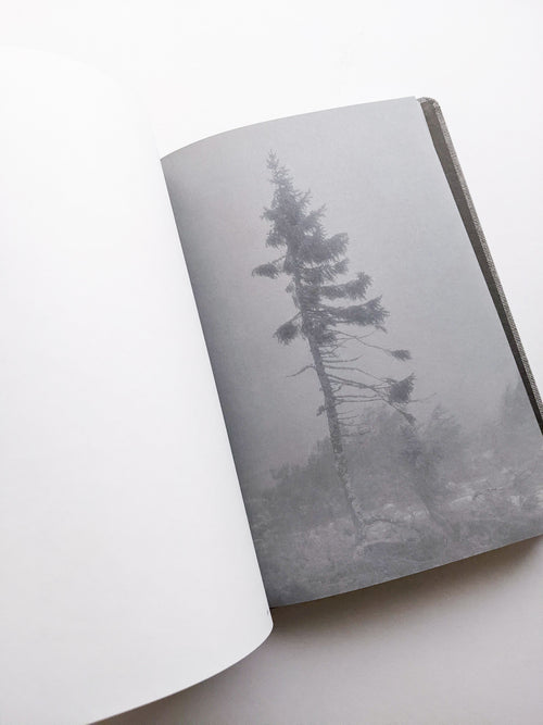 OLD TJIKKO [SECOND EDITION] / Nicolai Howalt