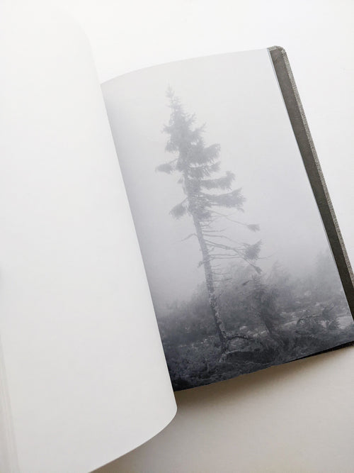 OLD TJIKKO [SECOND EDITION] / Nicolai Howalt