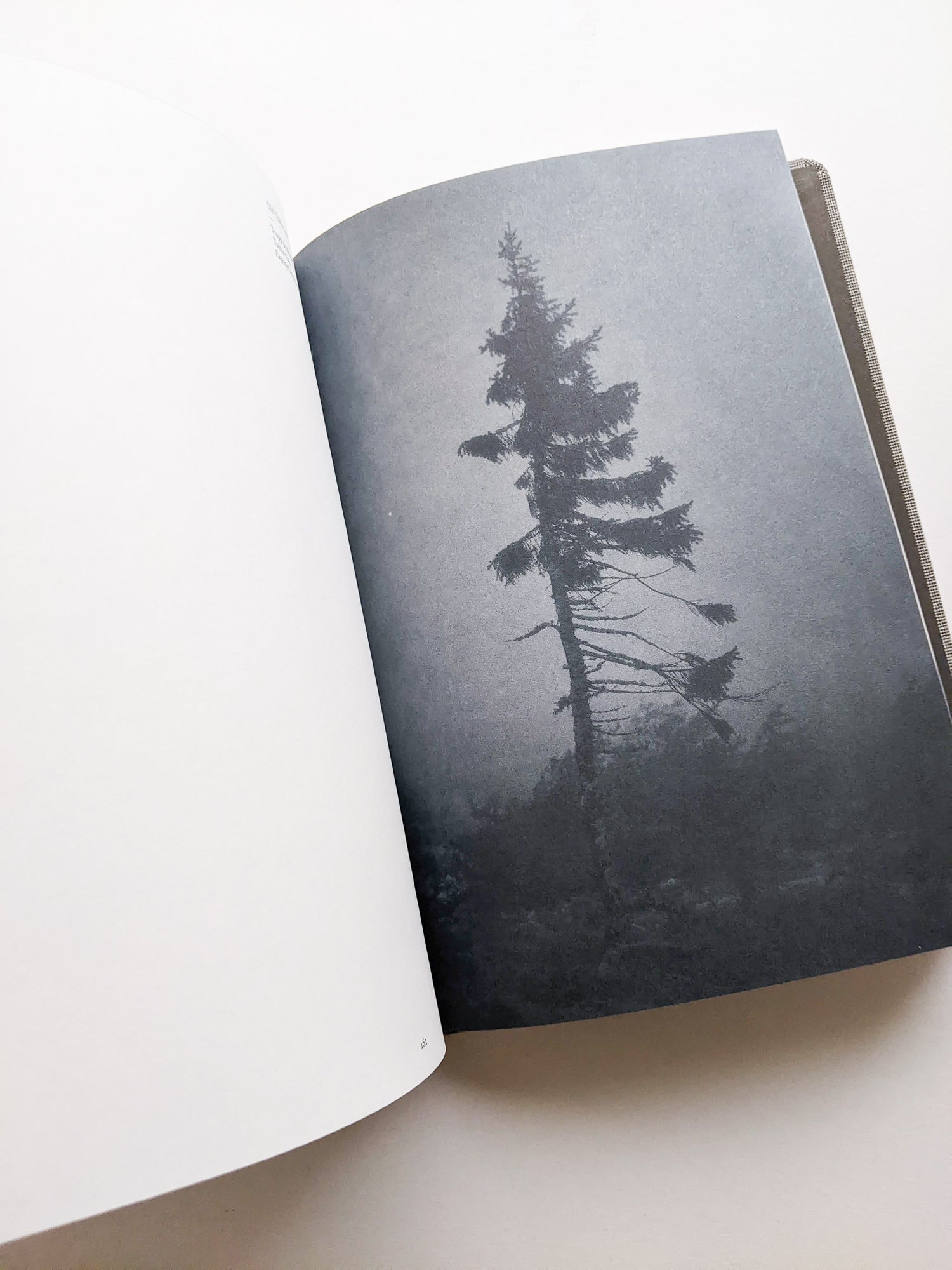 OLD TJIKKO [SECOND EDITION] / Nicolai Howalt