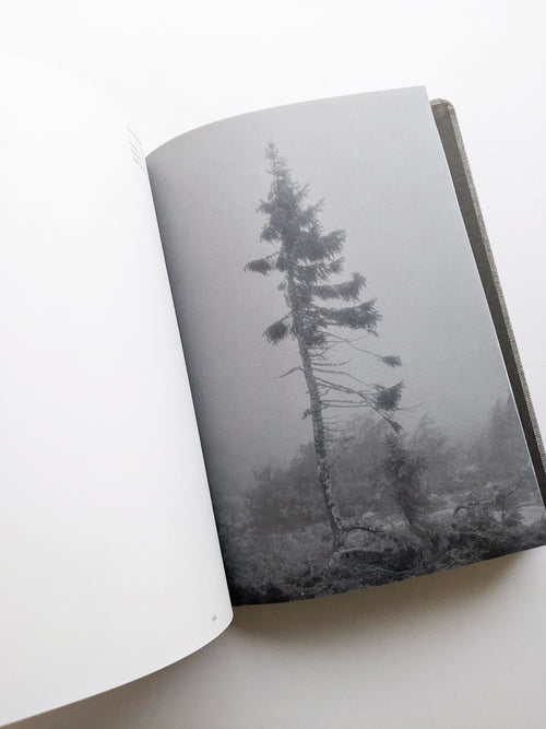 OLD TJIKKO [SECOND EDITION] / Nicolai Howalt