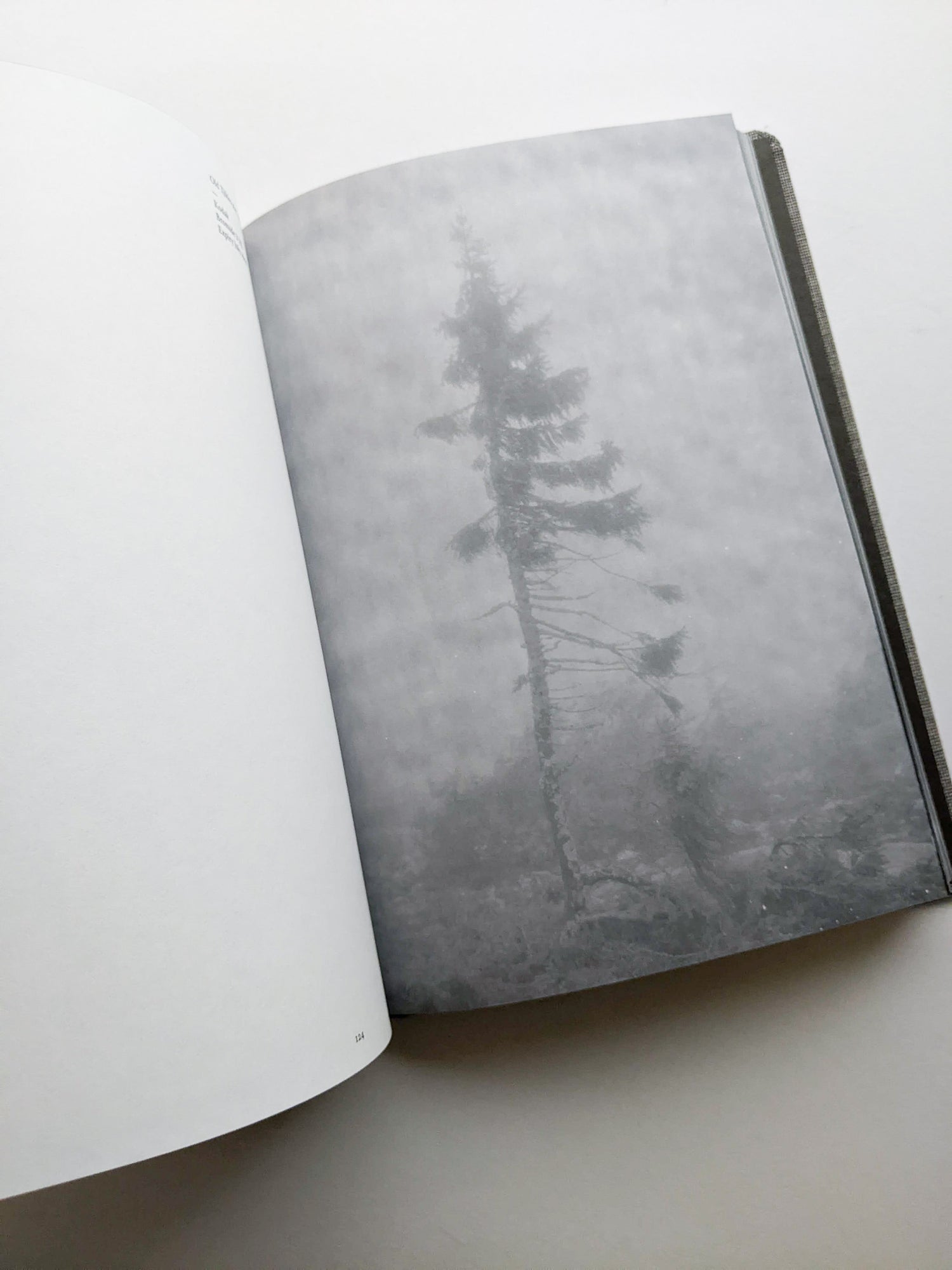 OLD TJIKKO [SECOND EDITION] / Nicolai Howalt