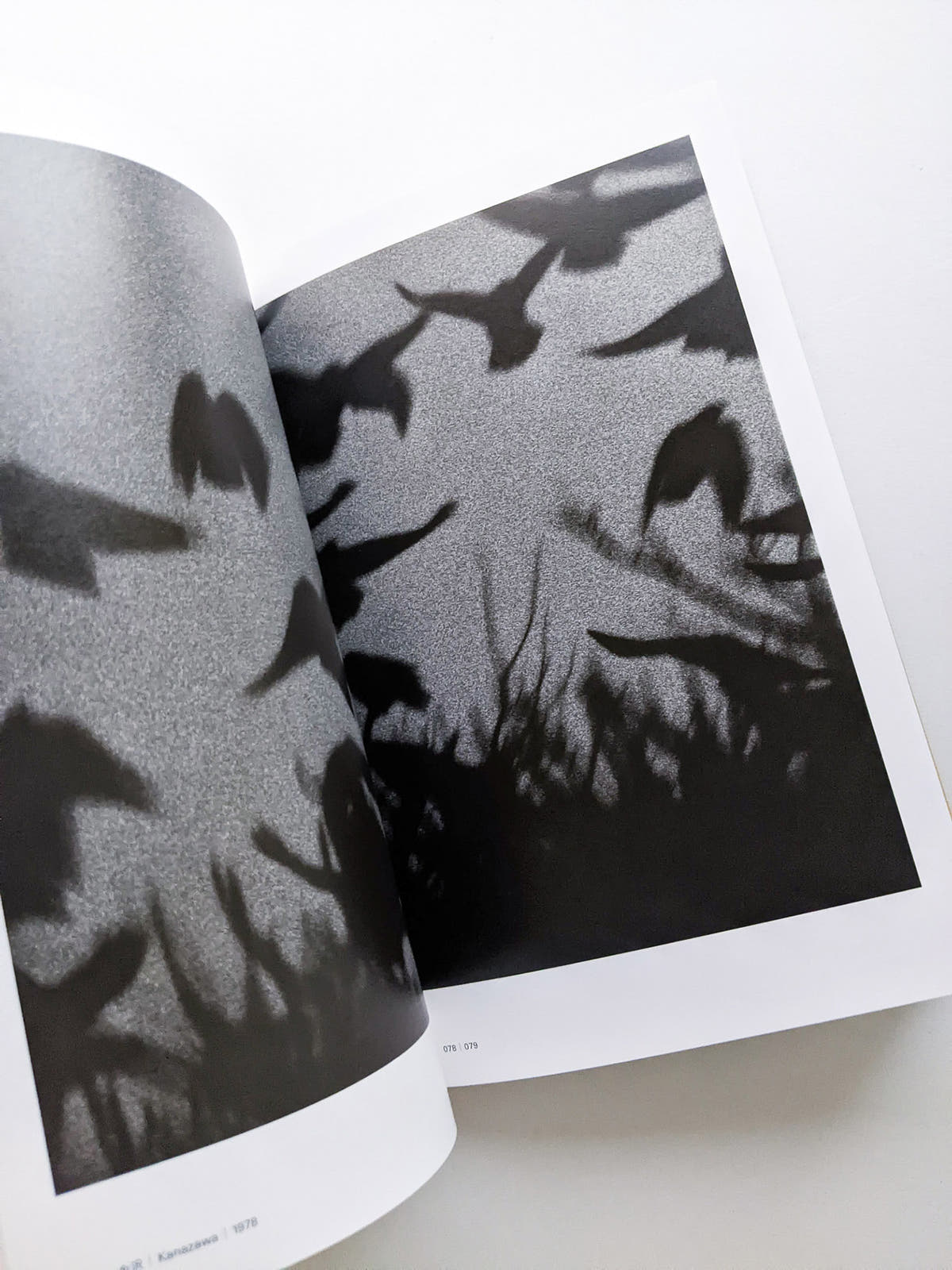 Masahisa Fukase 1961-1991 Retrospective