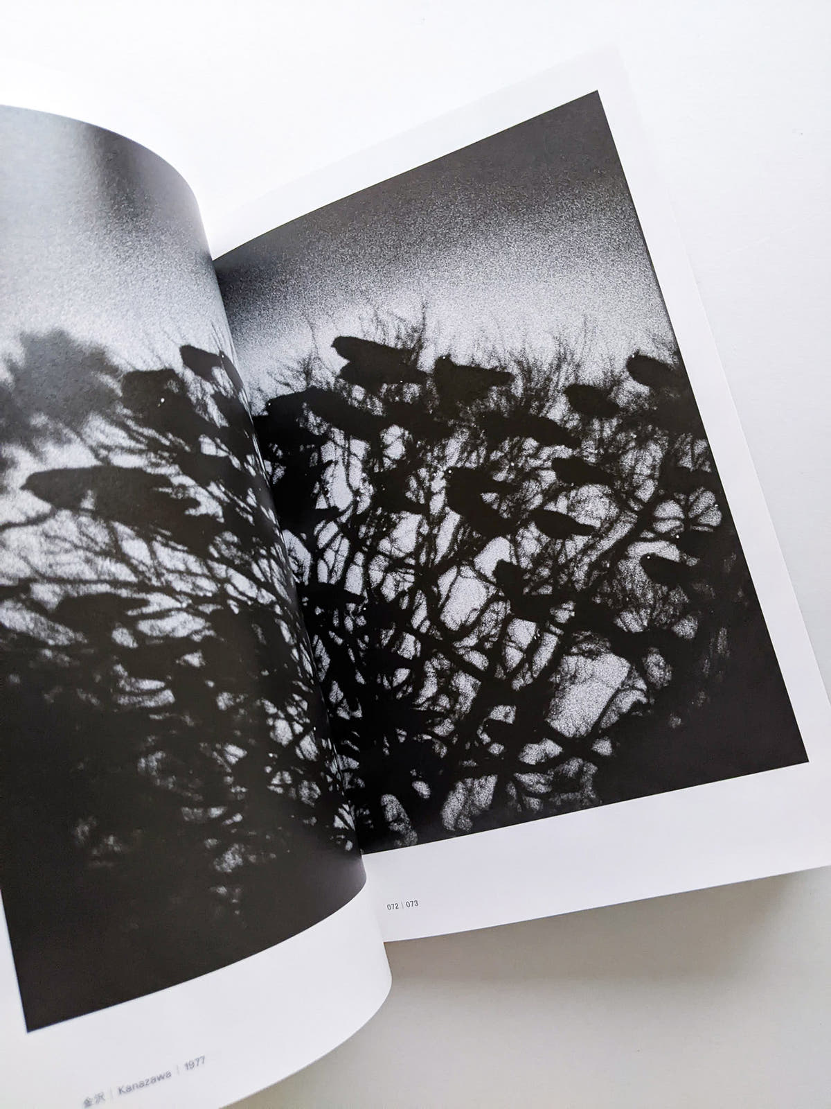 Masahisa Fukase 1961-1991 Retrospective