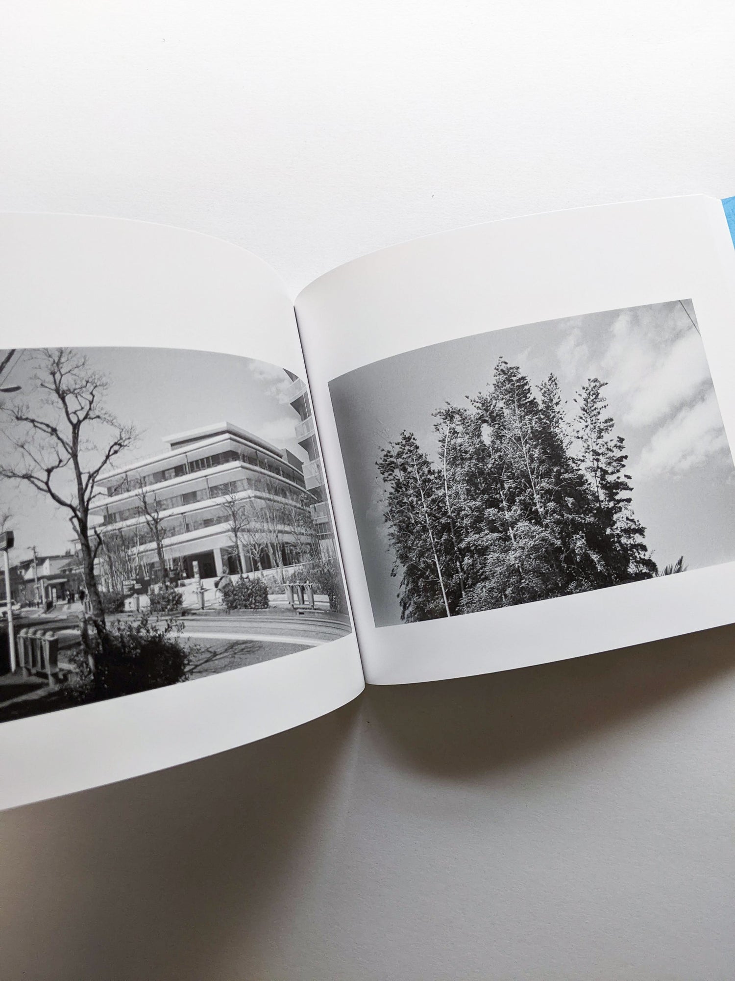 平行写真 / 富澤大輔 [SIGNED]