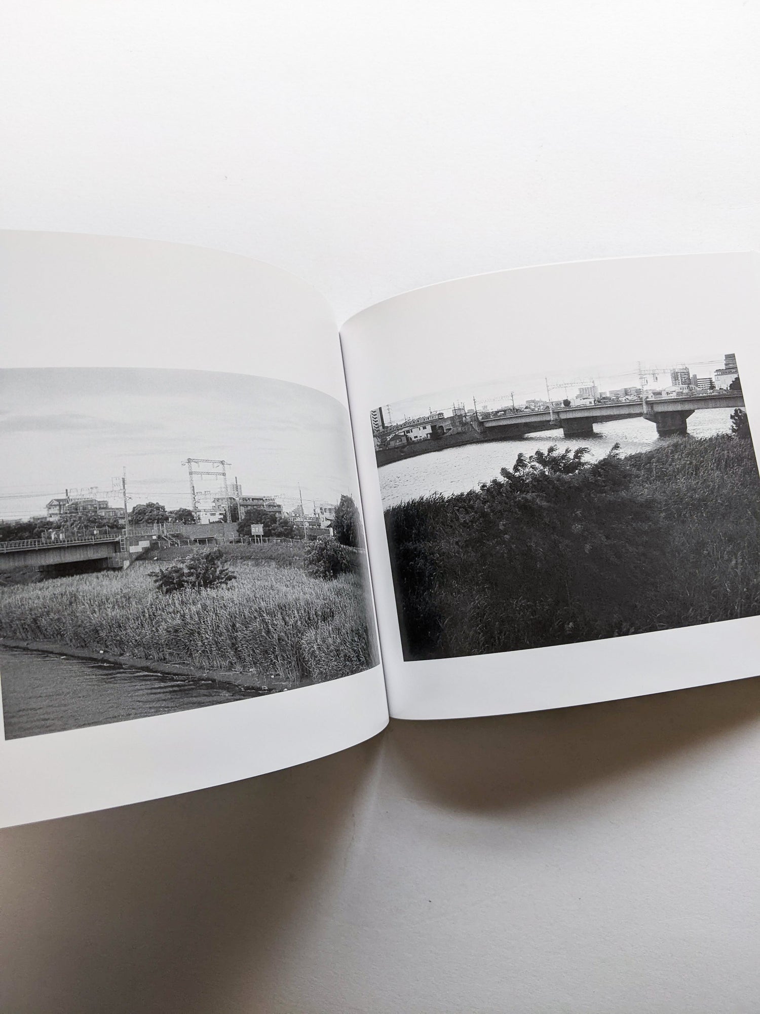 平行写真 / 富澤大輔 [SIGNED]