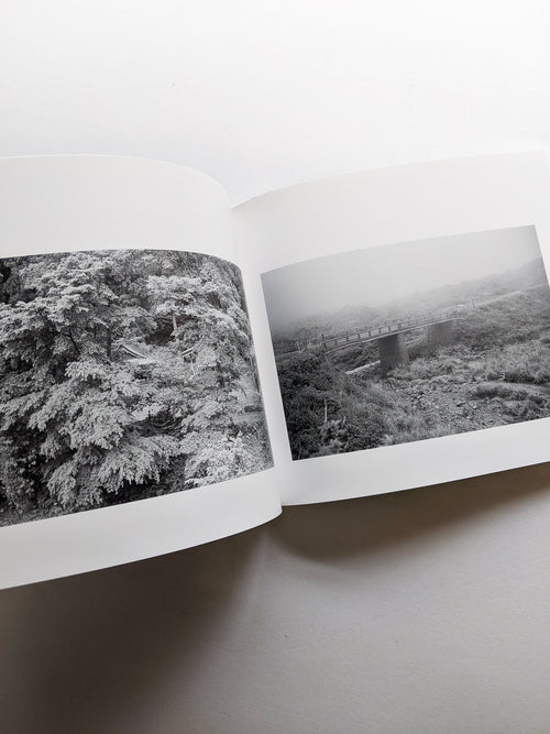 平行写真 / 富澤大輔 [SIGNED]