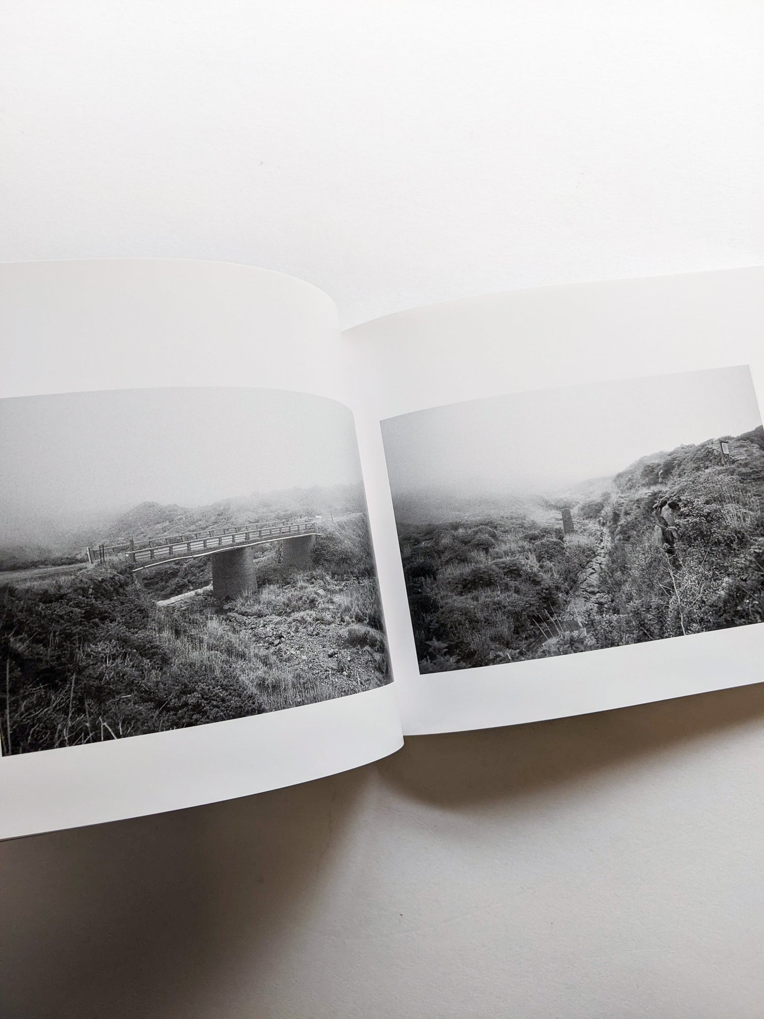 平行写真 / 富澤大輔 [SIGNED]