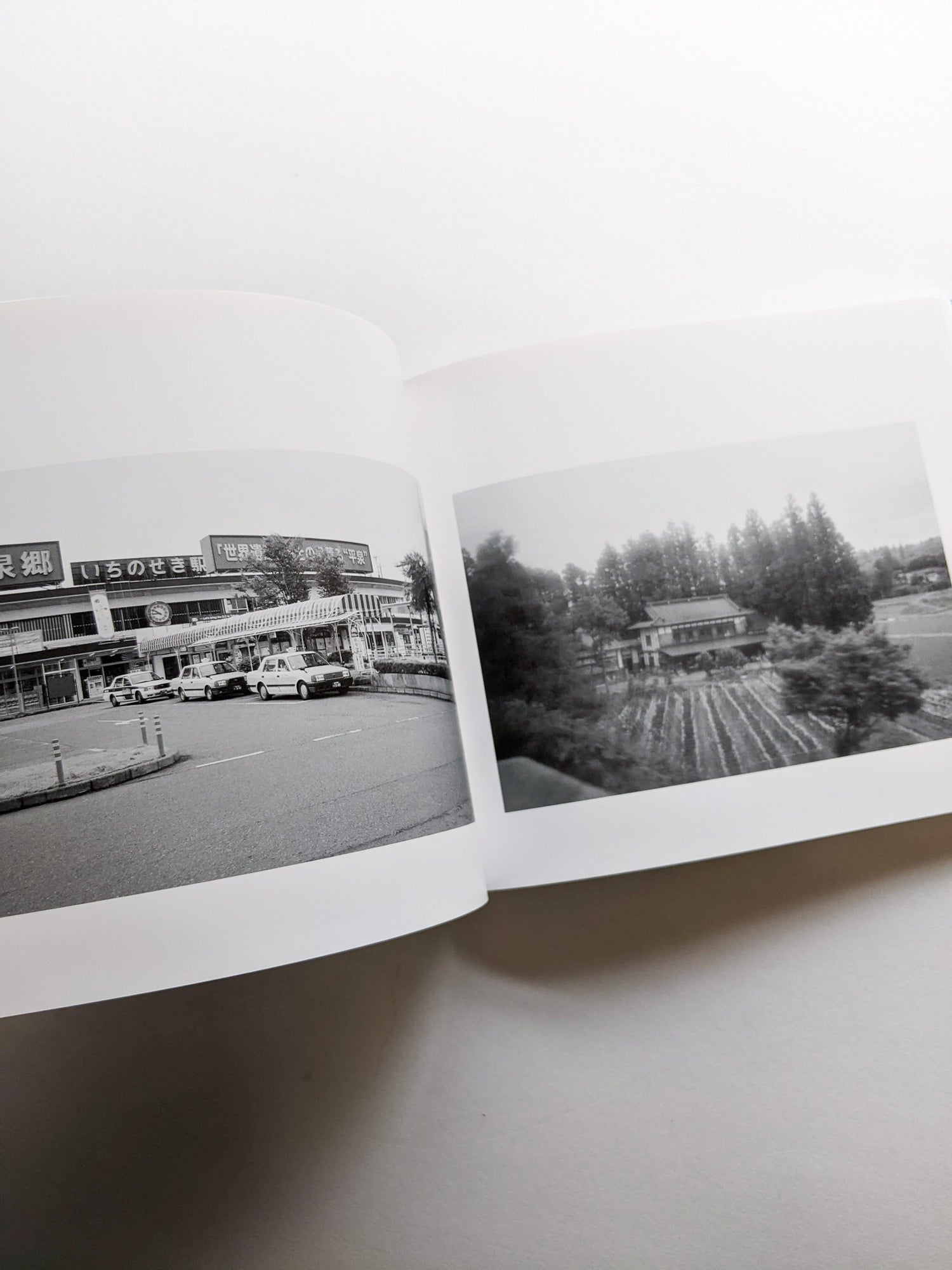 平行写真 / 富澤大輔 [SIGNED]