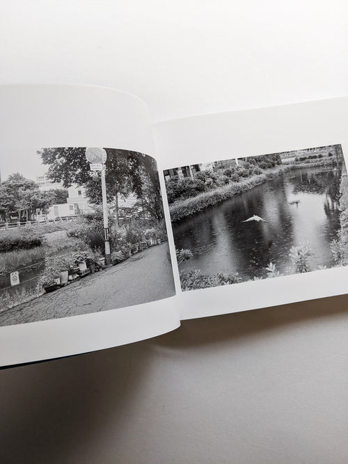 平行写真 / 富澤大輔 [SIGNED]