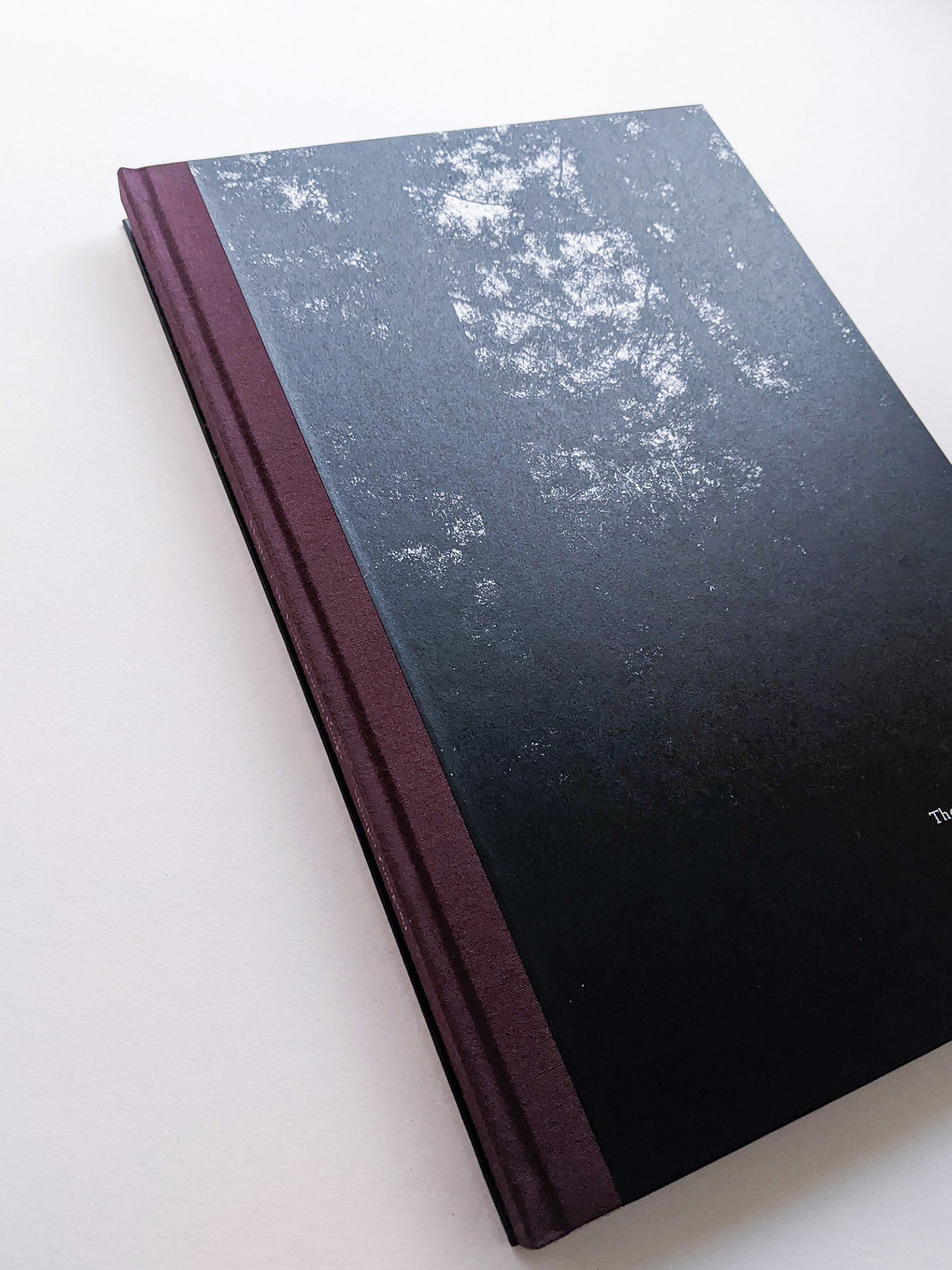 Helix / Shimpei Yamagami [SIGNED]