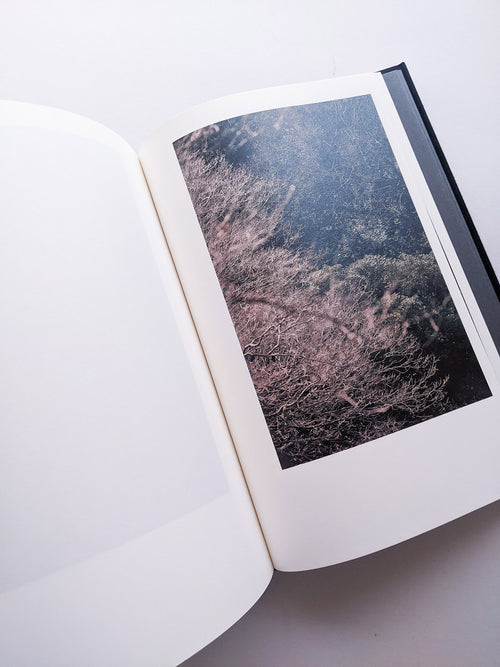 Helix / Shimpei Yamagami [SIGNED]