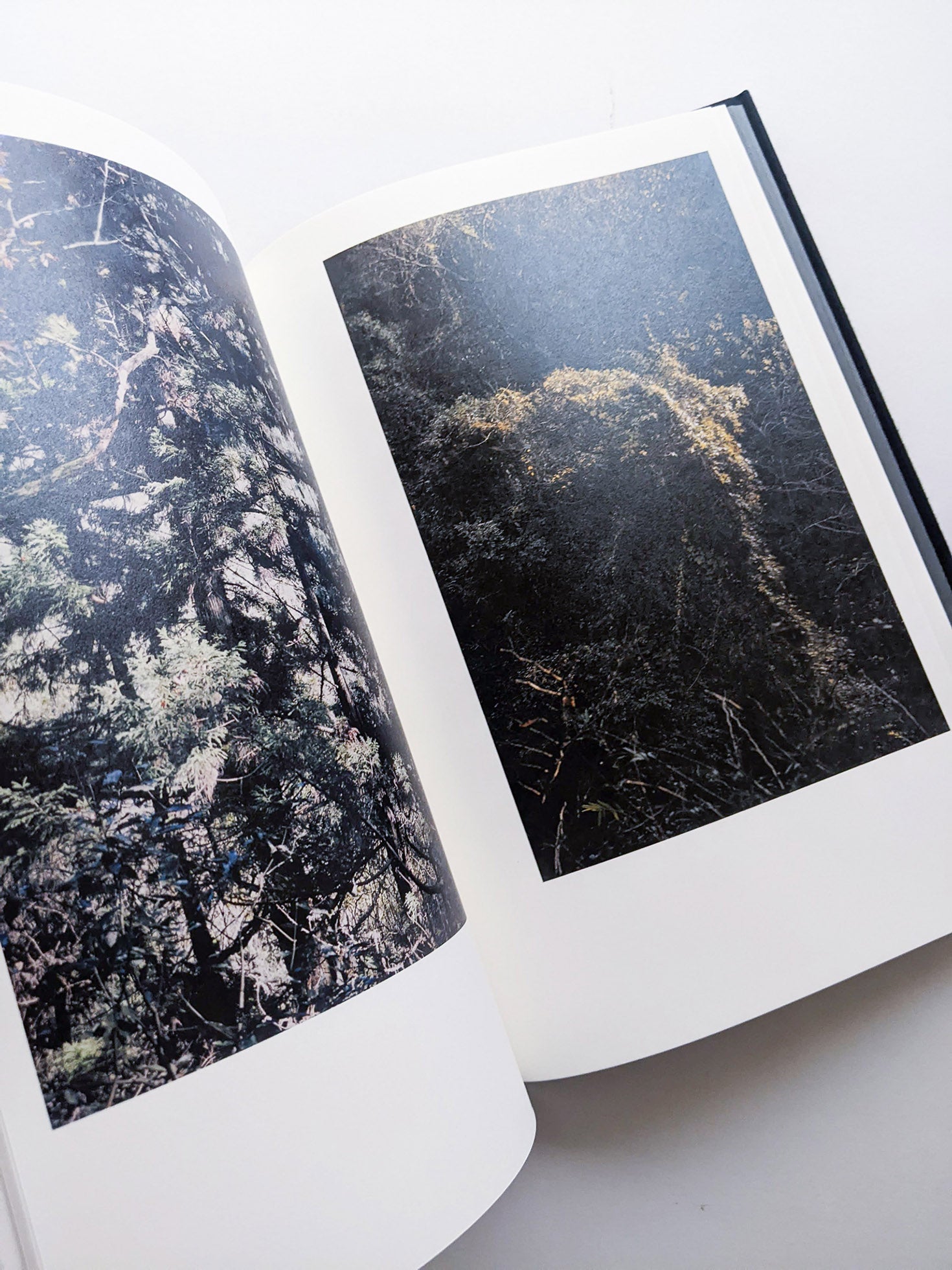 Helix / Shimpei Yamagami [SIGNED]