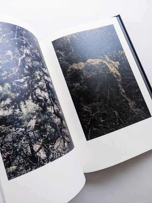 Helix / Shimpei Yamagami [SIGNED]