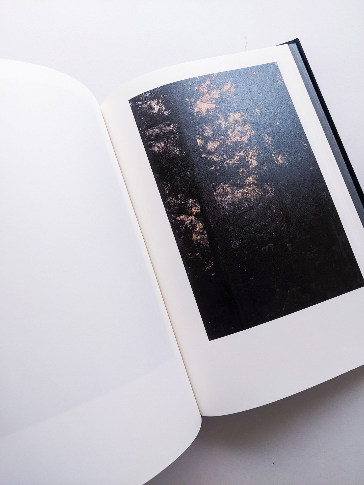 Helix / Shimpei Yamagami [SIGNED]