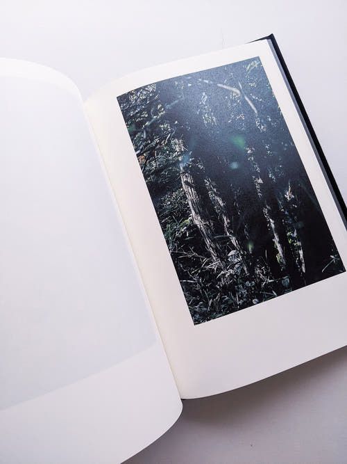 Helix / Shimpei Yamagami [SIGNED]