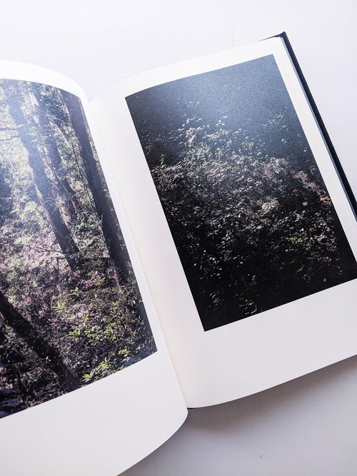 Helix / Shimpei Yamagami [SIGNED]