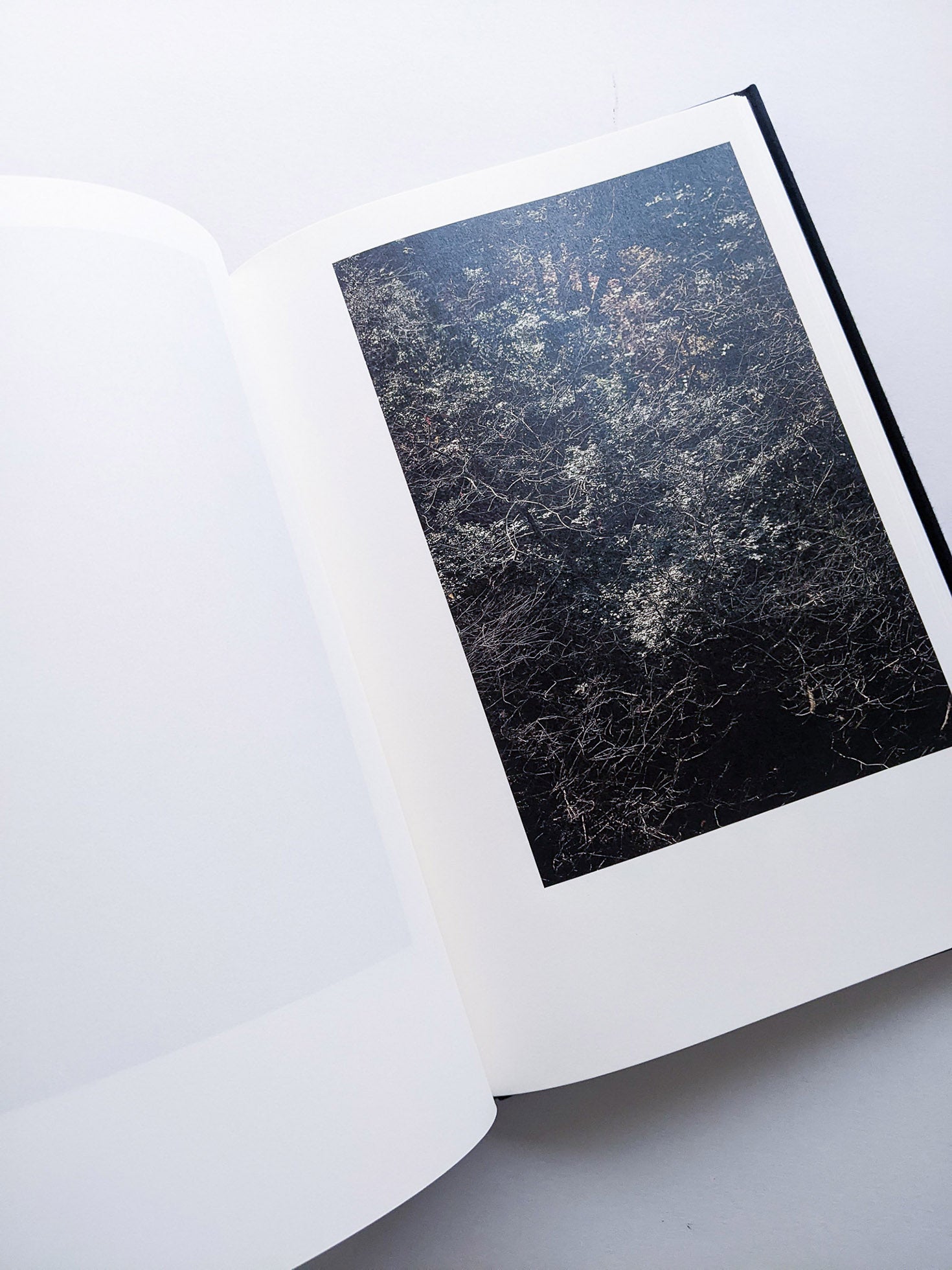 Helix / Shimpei Yamagami [SIGNED]