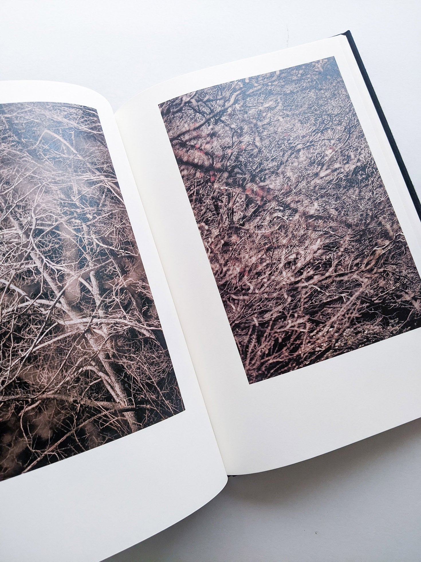 Helix / Shimpei Yamagami [SIGNED]