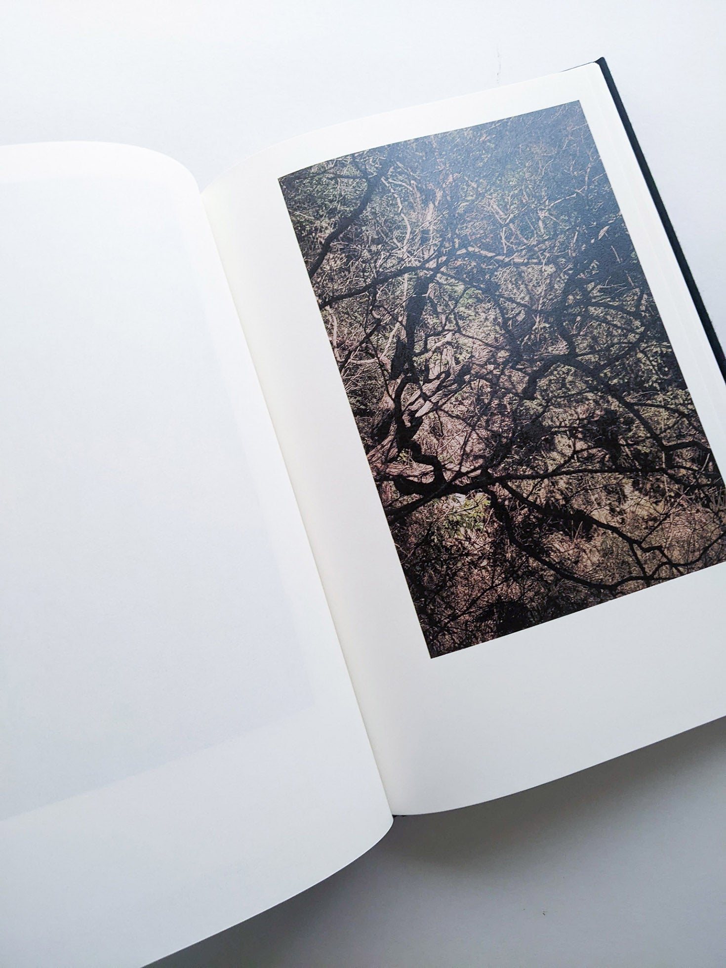 Helix / Shimpei Yamagami [SIGNED] - 本屋青旗 Ao-Hata Bookstore