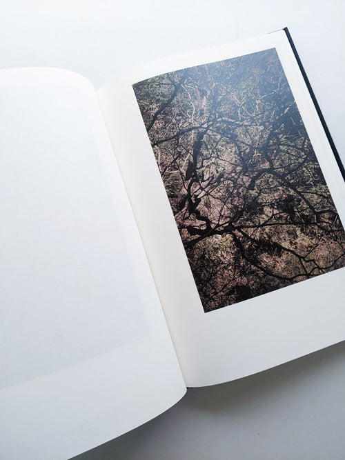 Helix / Shimpei Yamagami [SIGNED]