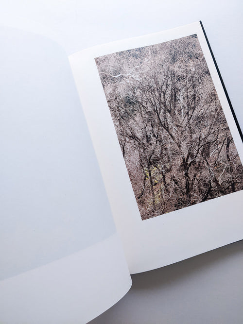 Helix / Shimpei Yamagami [SIGNED]