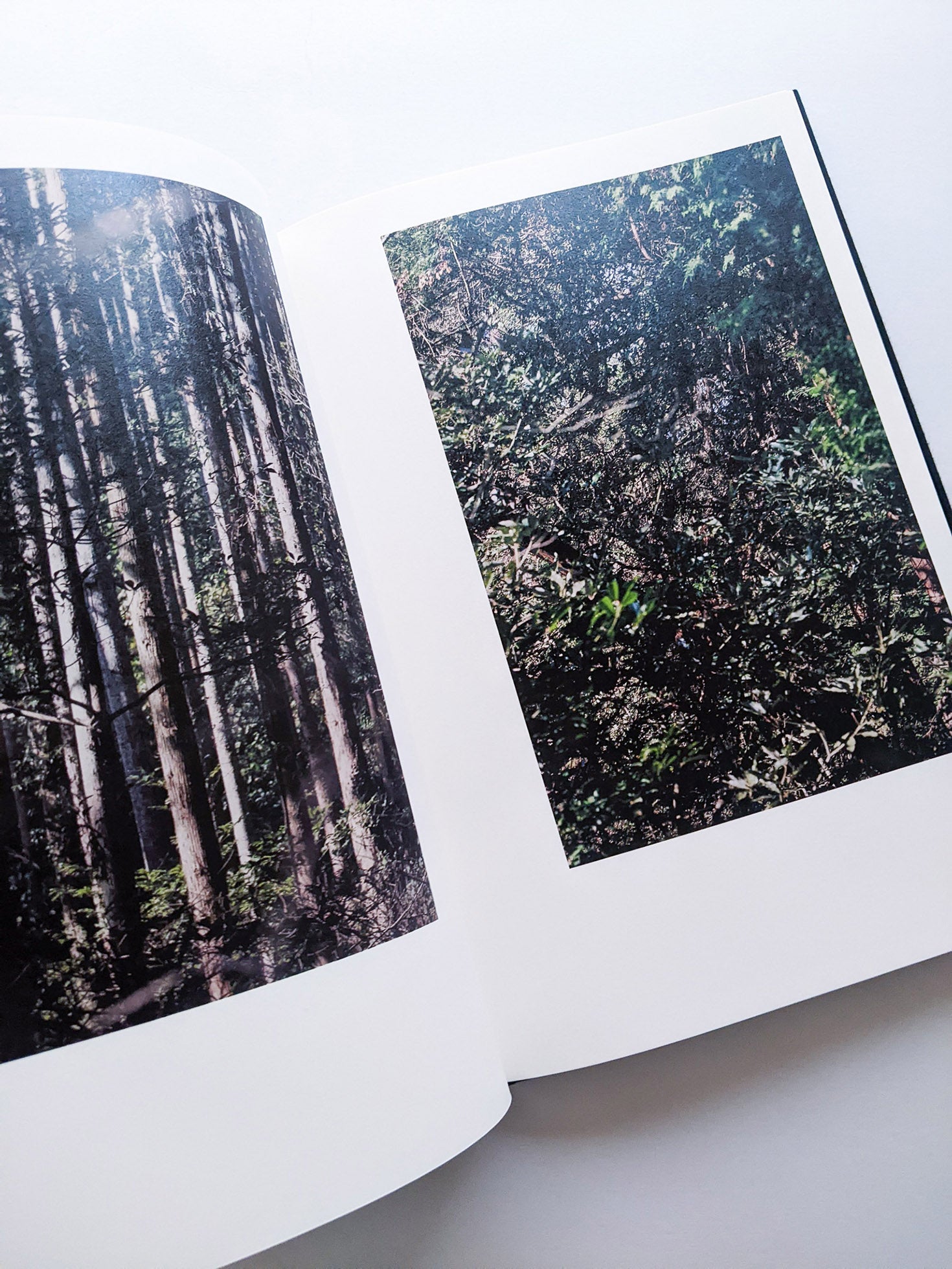 Helix / Shimpei Yamagami [SIGNED] - 本屋青旗 Ao-Hata Bookstore