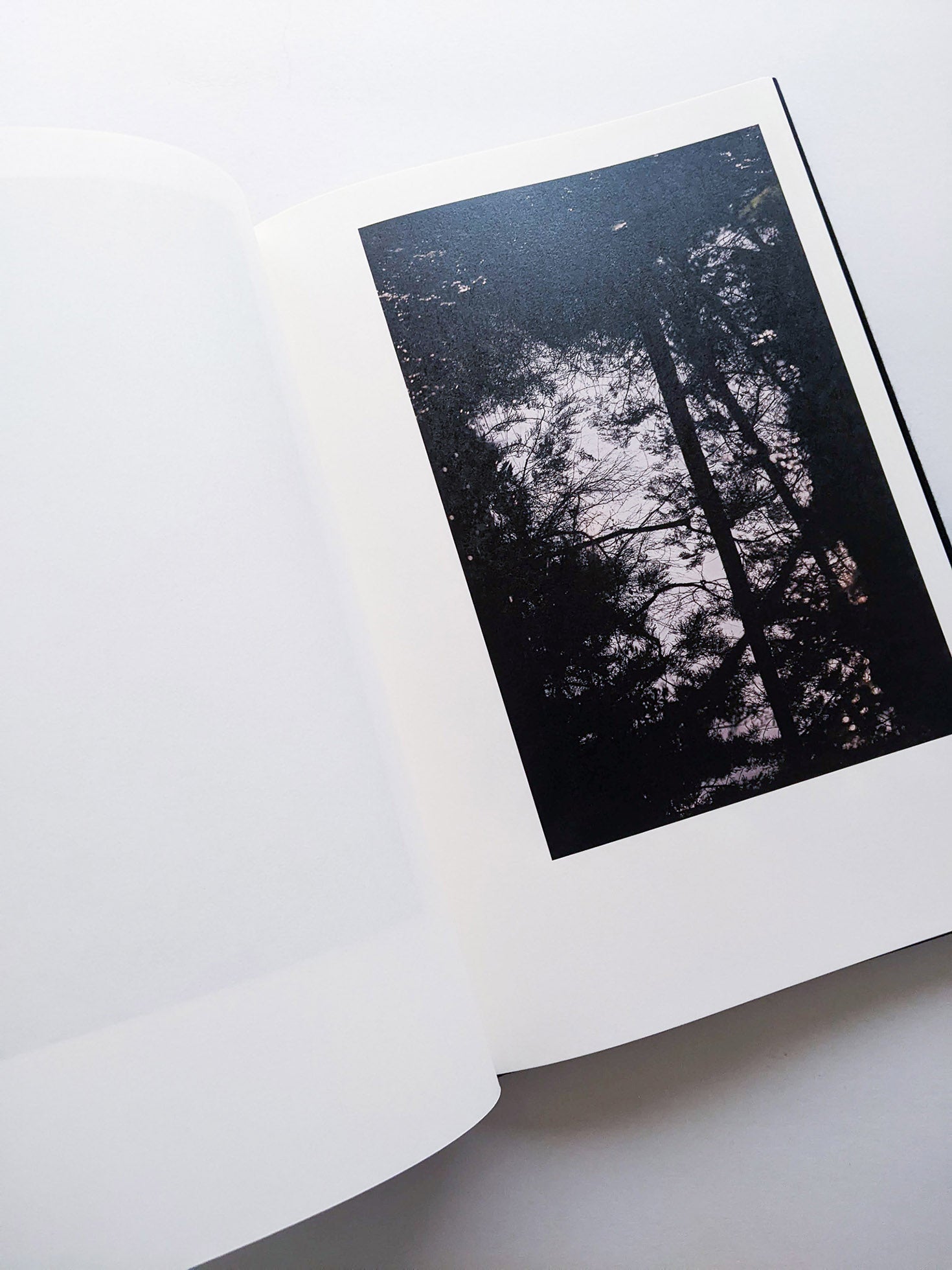 Helix / Shimpei Yamagami [SIGNED] - 本屋青旗 Ao-Hata Bookstore