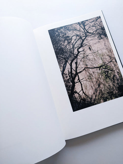 Helix / Shimpei Yamagami [SIGNED]